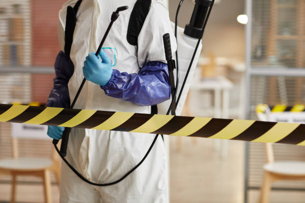 Professional Blood Cleanup technician working in Port Saint Lucie, FL